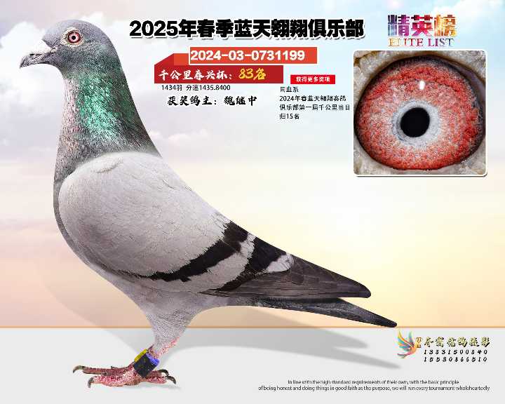 蓝天翱翔千公里83号