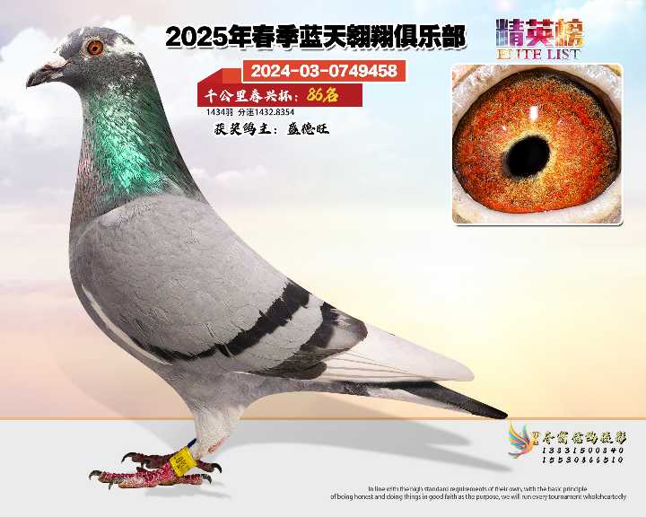蓝天翱翔千公里86号