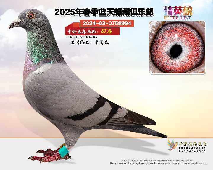 蓝天翱翔千公里87号