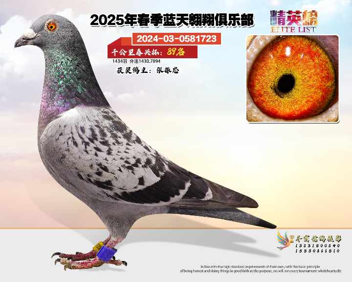 蓝天翱翔千公里89号