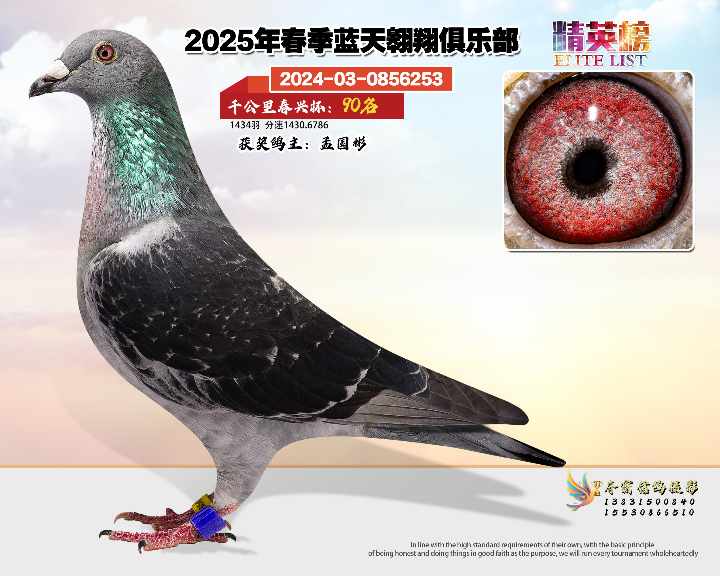 蓝天翱翔千公里90号