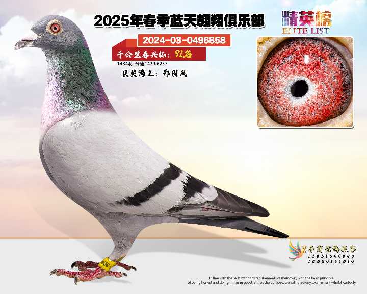 蓝天翱翔千公里91号