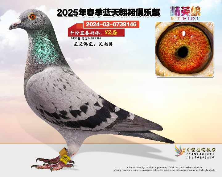 蓝天翱翔千公里92号