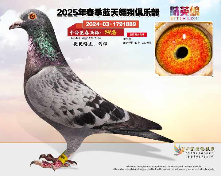 蓝天翱翔千公里94号