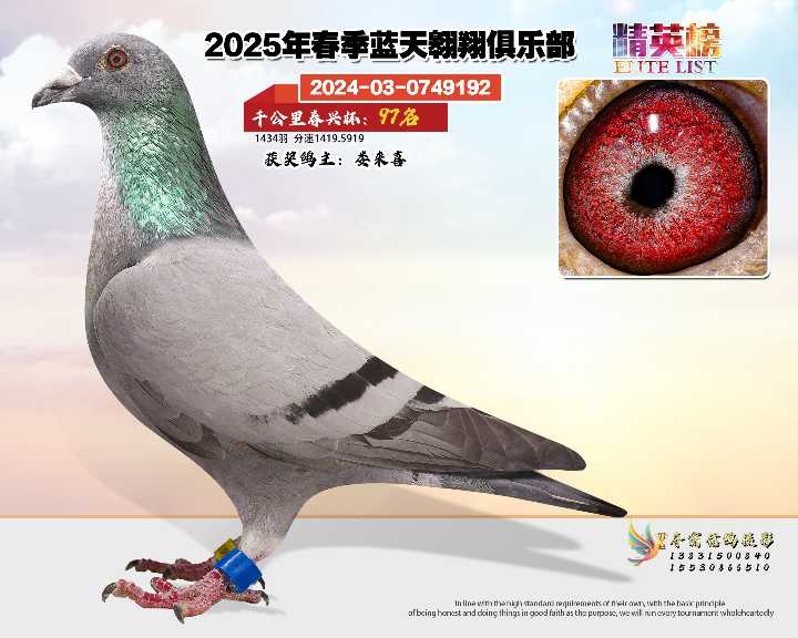 蓝天翱翔千公里97号