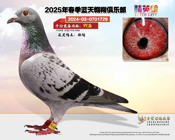 蓝天翱翔千公里99号