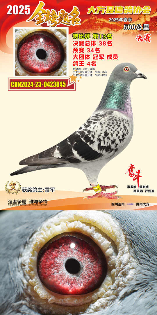 特比13号