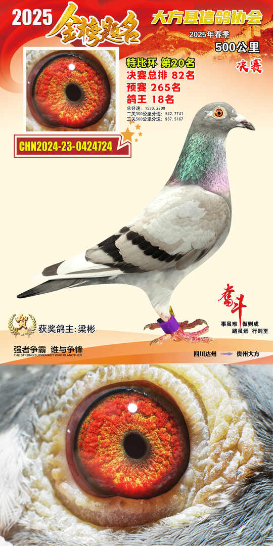 特比20号