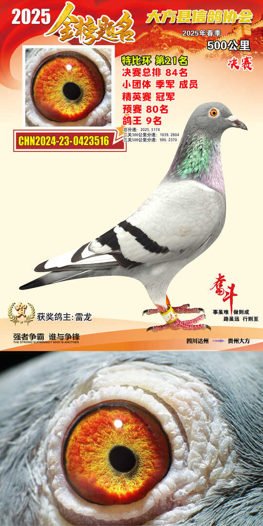 特比21号