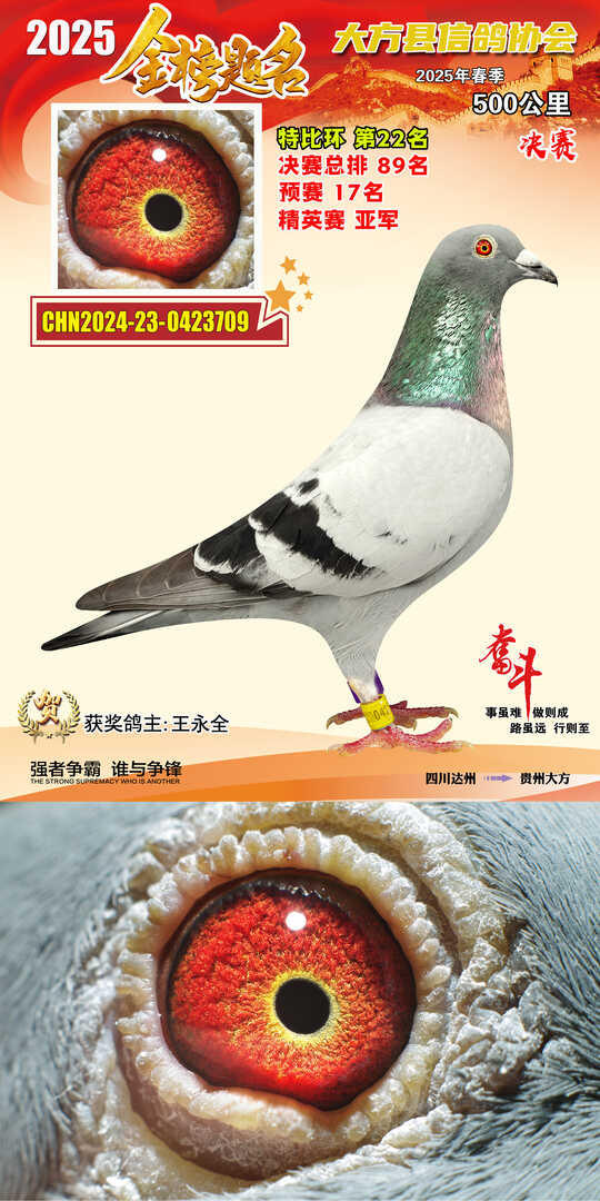 特比22号