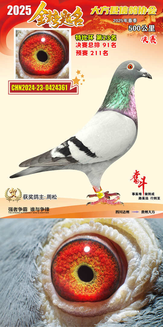 特比23号