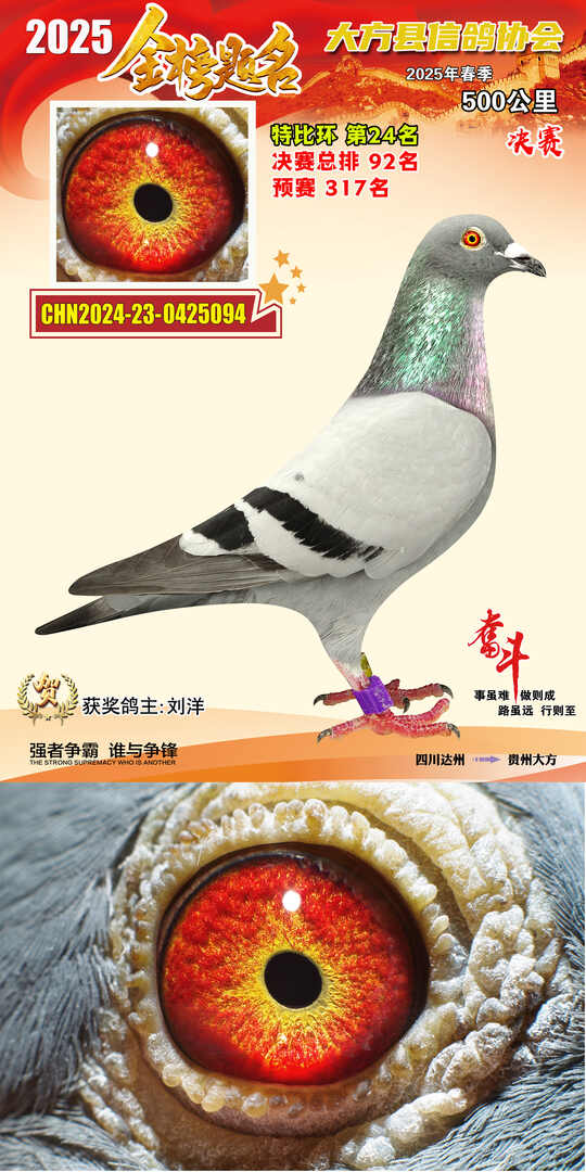 特比24号