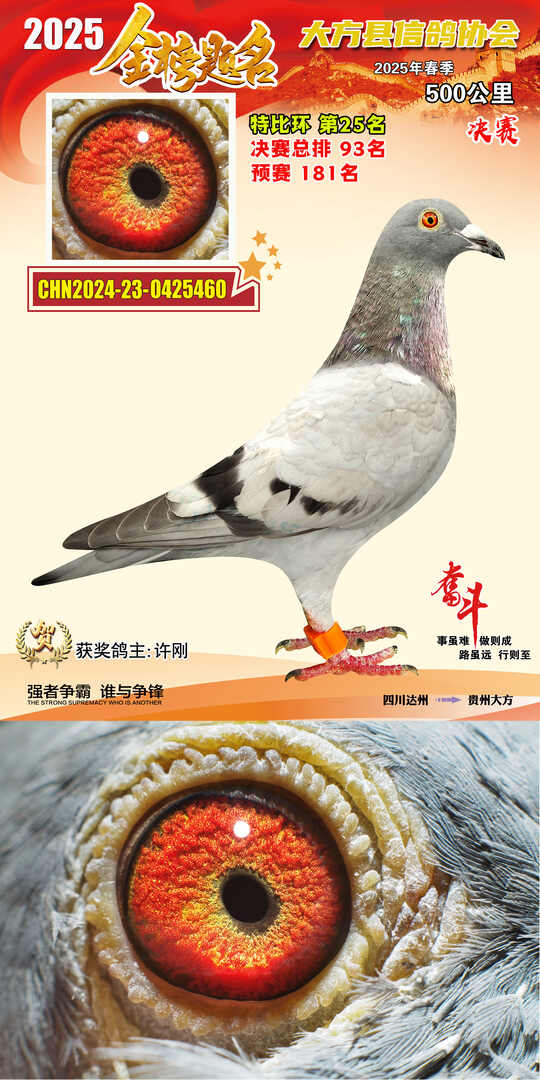 特比25号