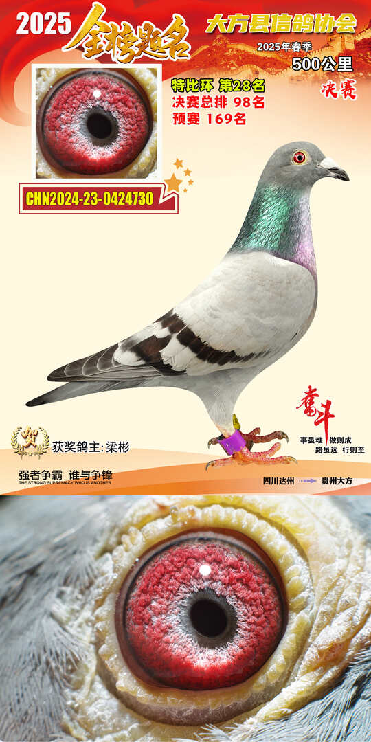 特比28号