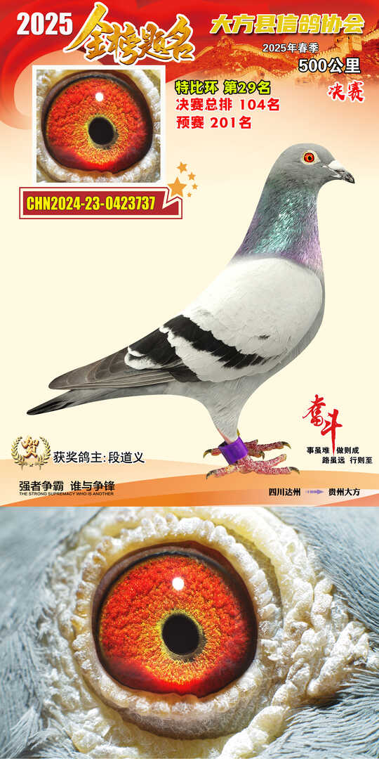 特比29号