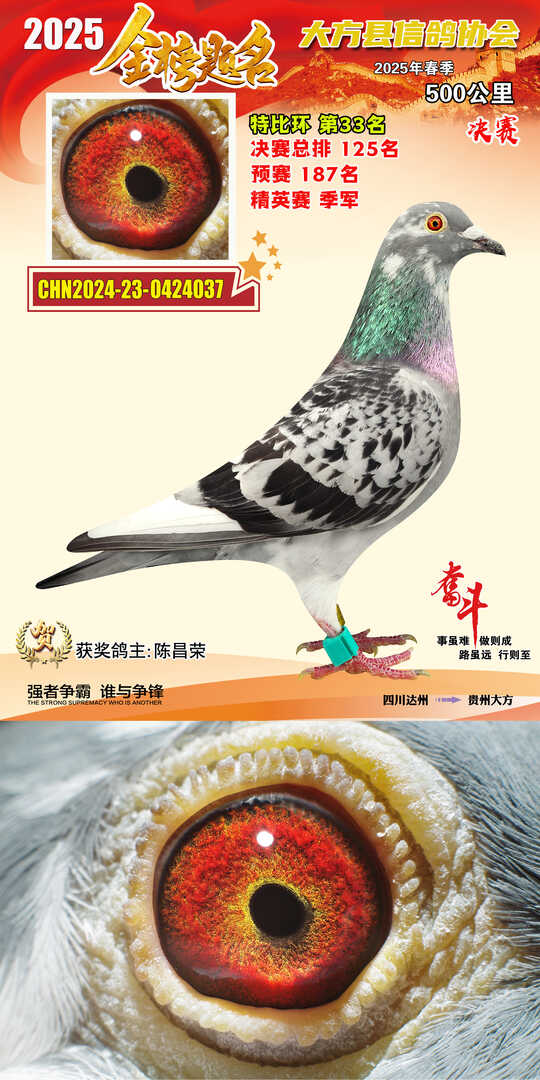 特比33号