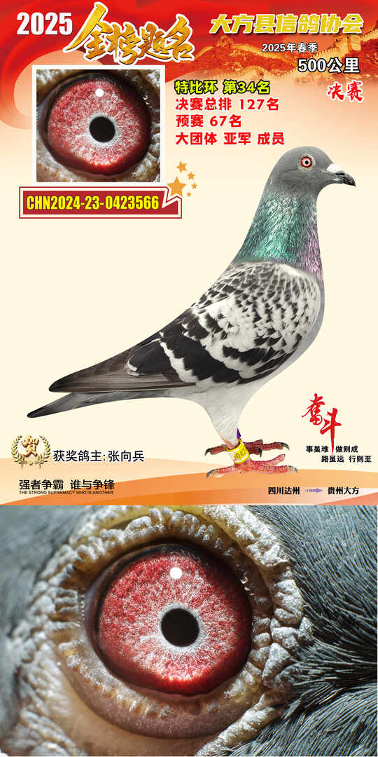 特比34号