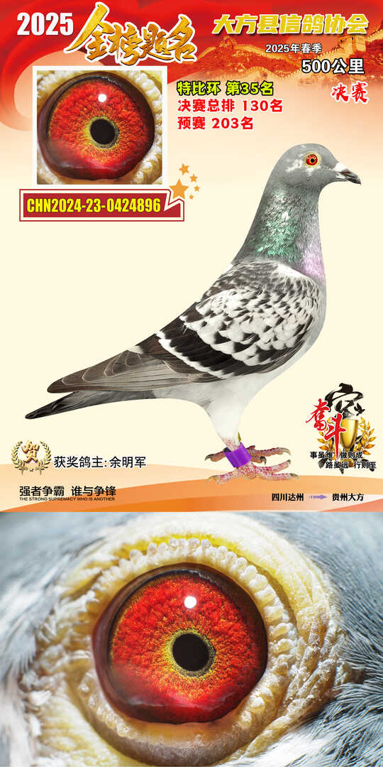 特比35号