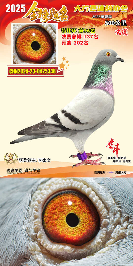 特比36号