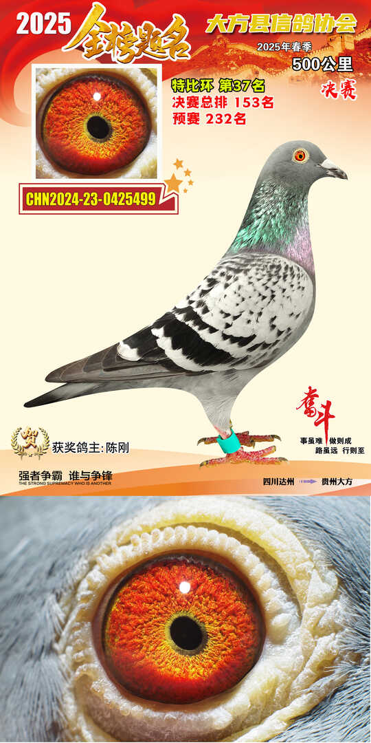 特比37号