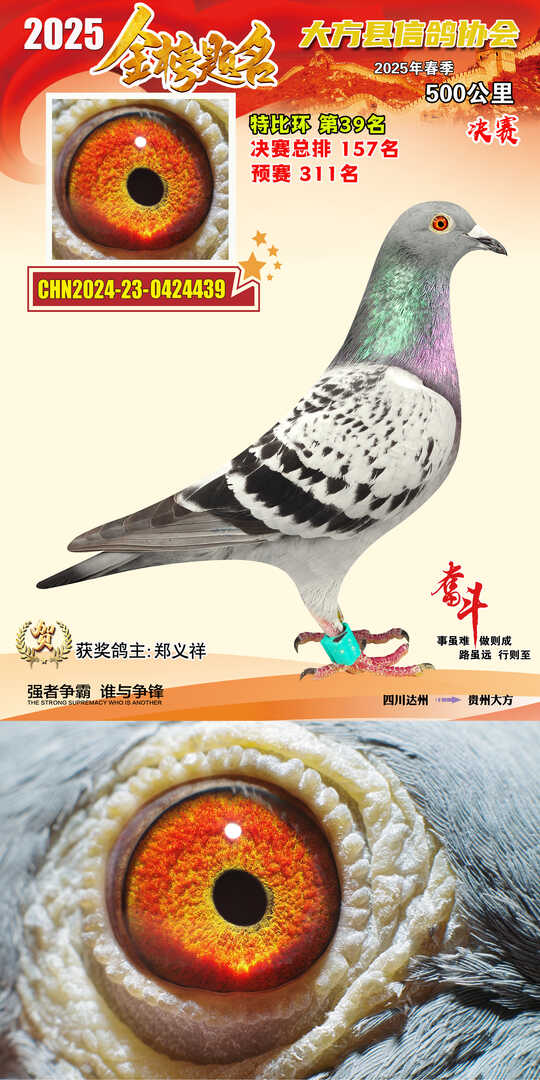 特比39号