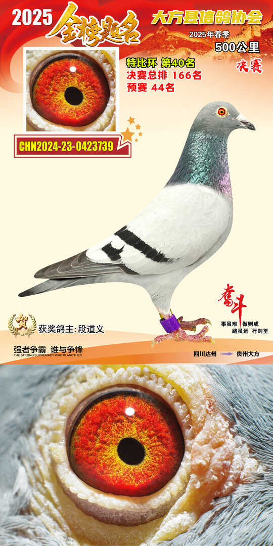 特比40号
