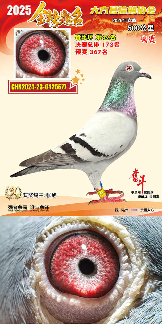 特比42号