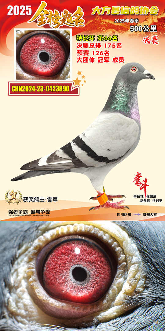 特比44号