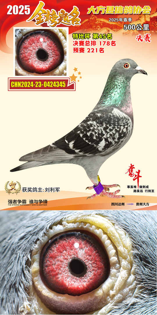 特比45号