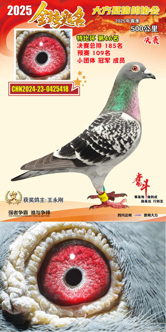 特比46号