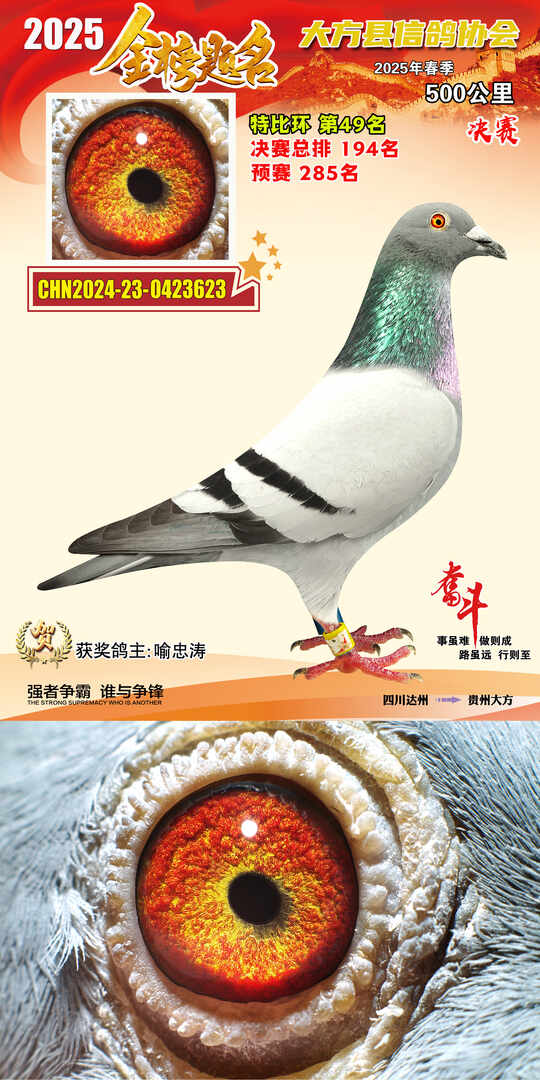 特比49号