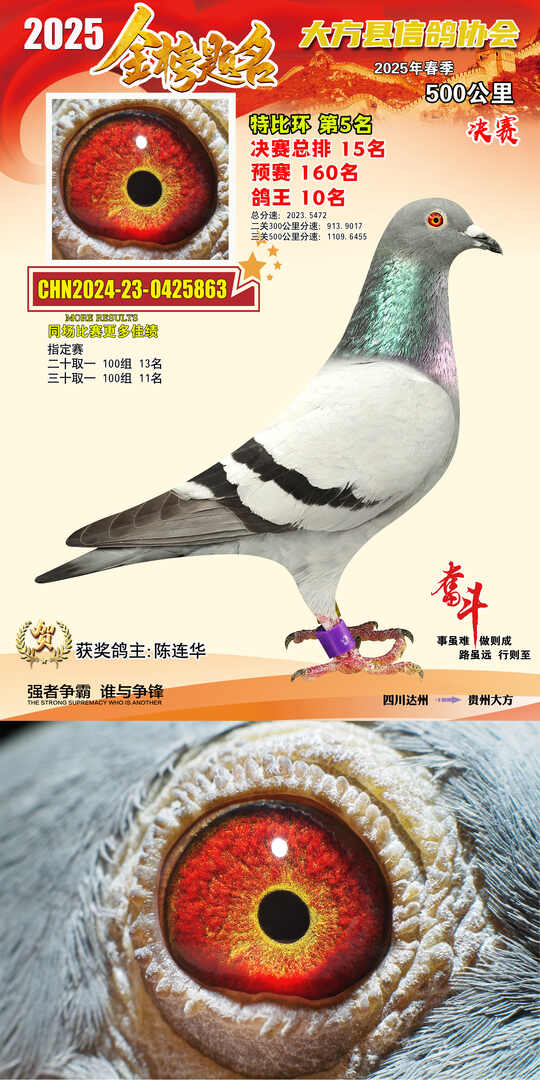 特比5号