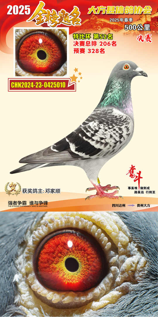特比52号