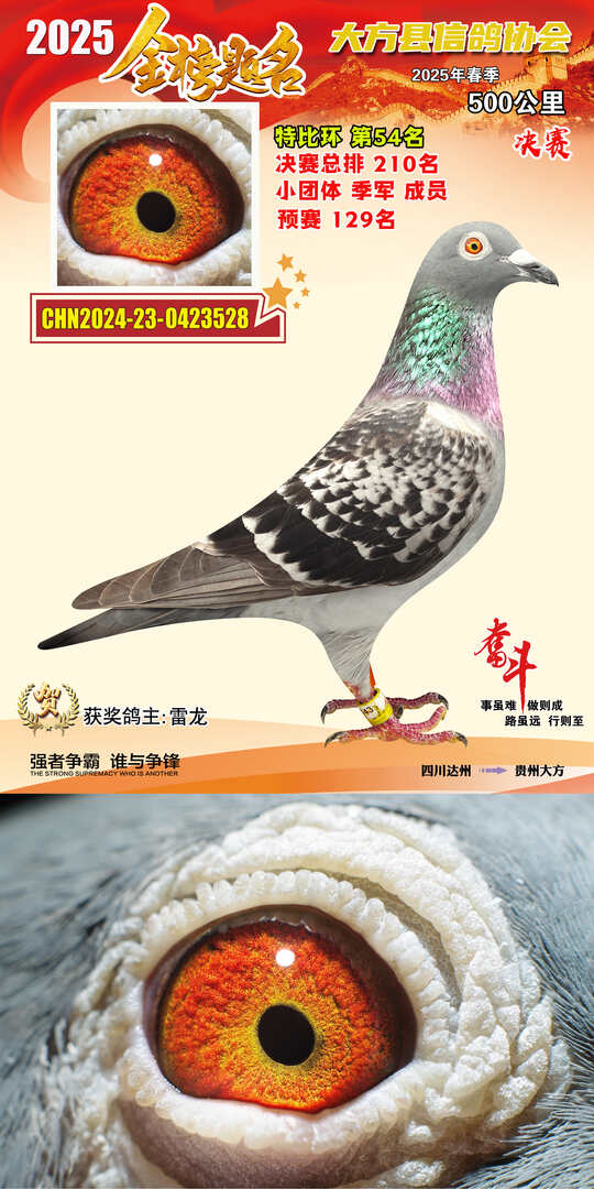 特比54号