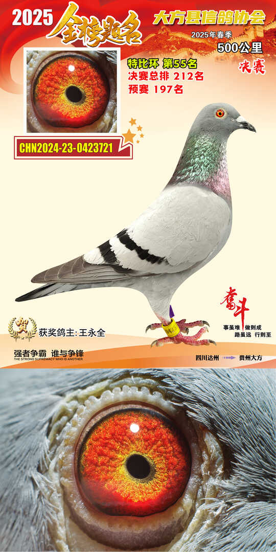 特比55号
