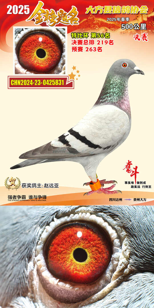 特比56号