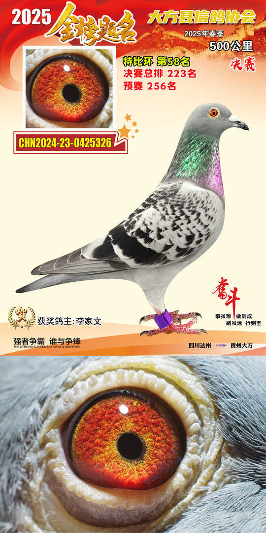 特比58号