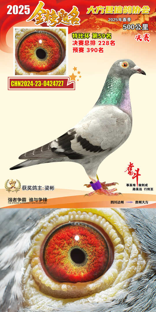 特比59号