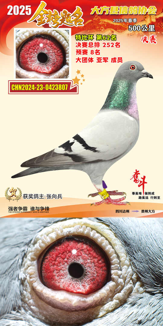 特比62号