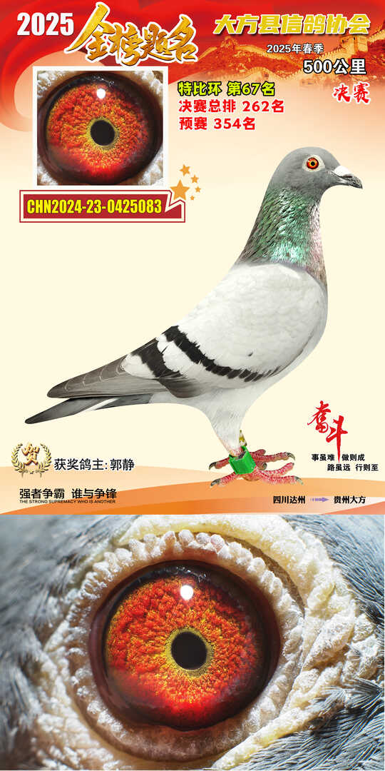 特比67号