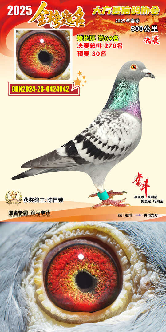 特比69号