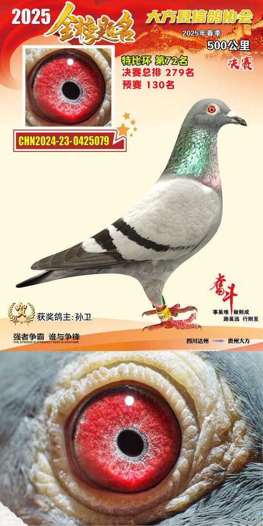 特比72号