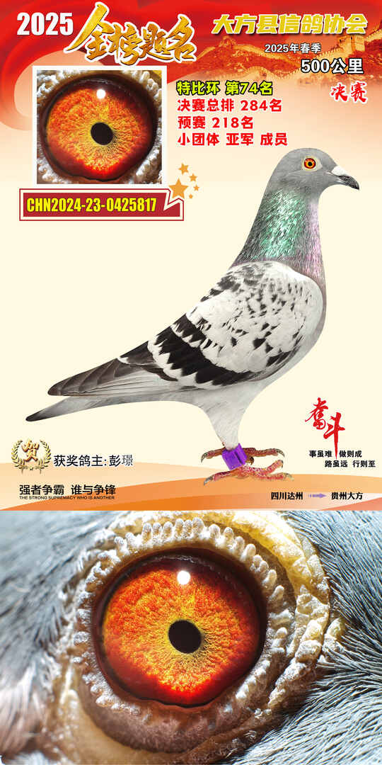 特比74号