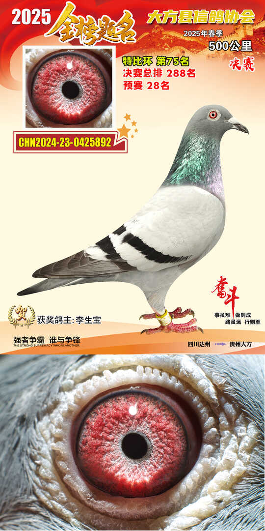 特比75号