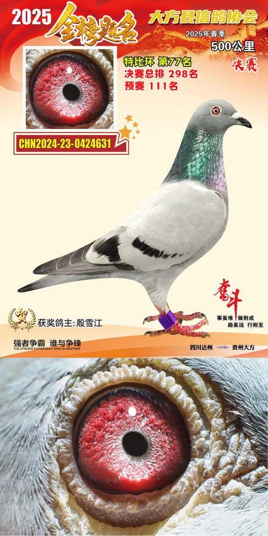 特比77号