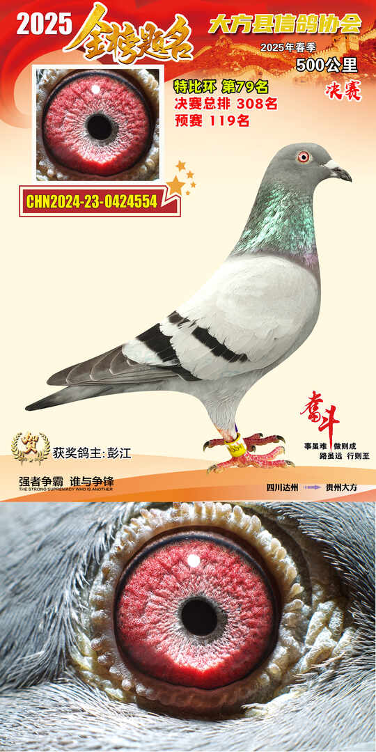 特比79号