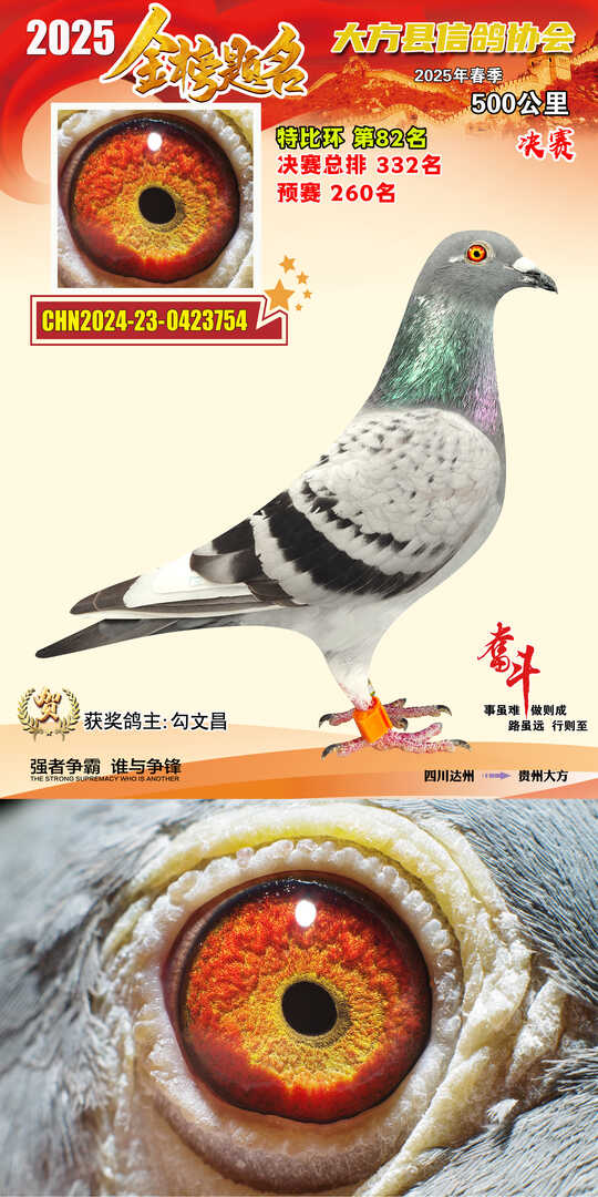 特比82号