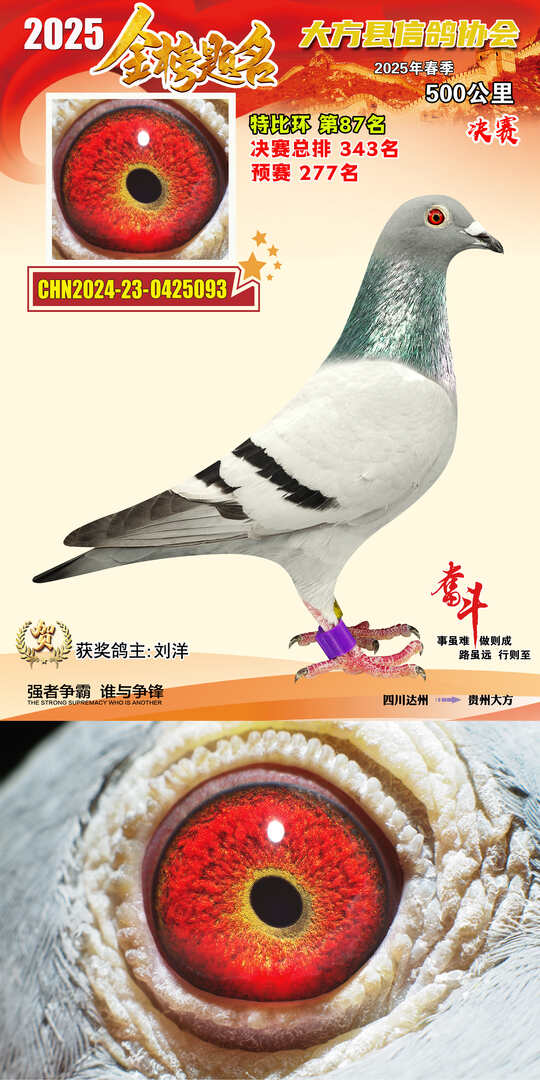 特比87号