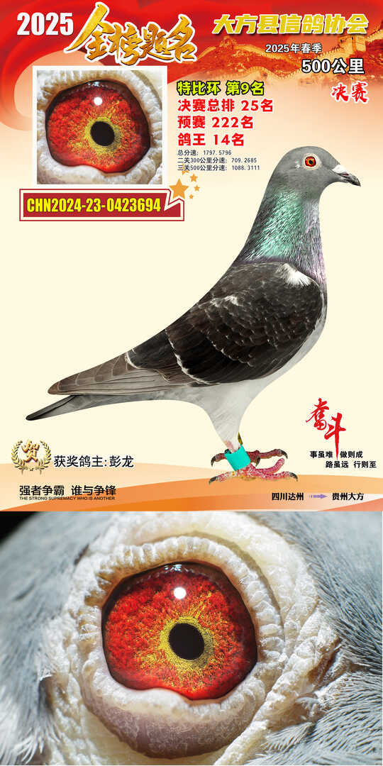 特比9号