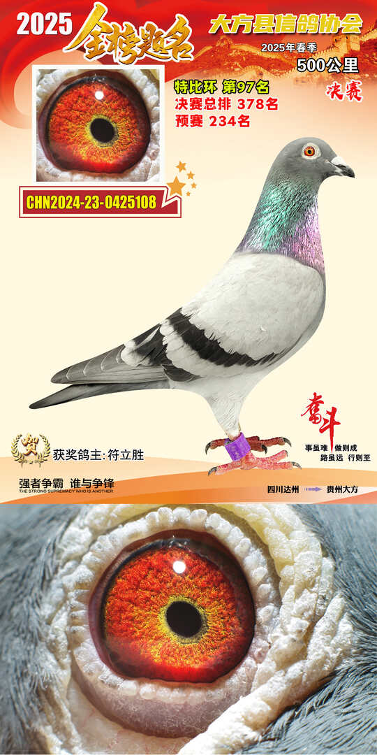 特比97号